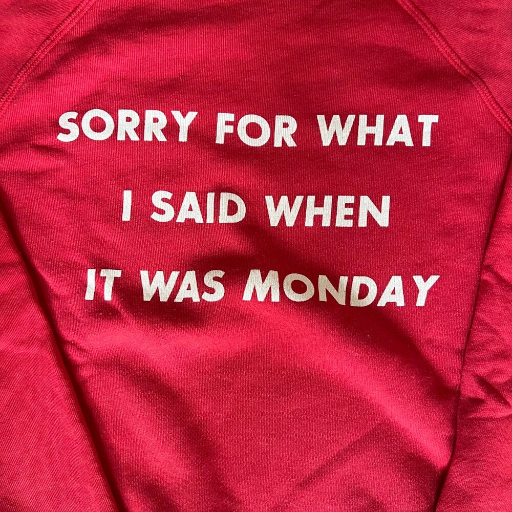 WILDFOX SORRY FOR WHAT I SAID WHEN IT WAS MONDAY SWEATSHIRT - Picture 2 of 6